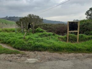 El Ayuntamiento lamenta los daños causados por un acto vandálico en la señalización de la Puerta Verde