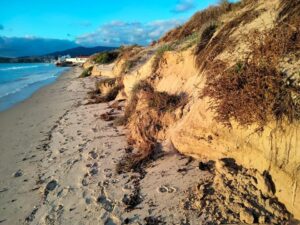 Salvemos Rinconcillo preocupado porque "nada se mueve"