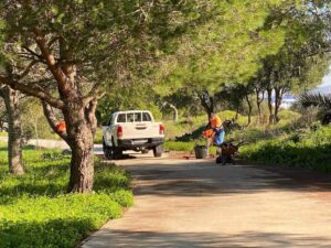 El alcalde destaca su compromiso por lograr una Algeciras más verde y sostenible