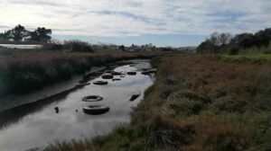 Aparece una gran cantidad de neumáticos usados en el paraje natural del río Palmones