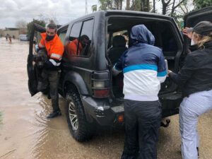 La comarca se vuelca con el rescate de los perros de Los Barrios