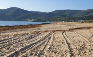 Ecologistas critican que las banderas azules no reúnen los requisitos mínimos de rigor