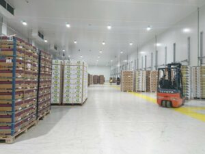 El Puerto de Algeciras dispara sus exportaciones a Norteamérica