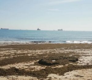 El PSOE denuncia la falta de limpieza en las playas de la ciudad durante el fin de semana