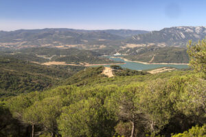 Ayuntamientos y ecologistas, en contra de los proyectos fotovoltaicos en Los Alcornocales
