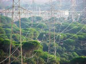 La Plataforma Social pide una moratoria al Gobierno y la Junta para los planes de energía renovable