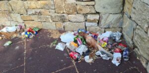 Vecinos denuncian la acumulación de basuras en el parque Luis Marquijano