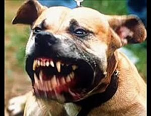 Terror en El Faro de Algeciras