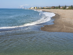 Avisan del escaso caudal en la desembocadura del río Guadiaro "debido a las derivaciones para regadío"