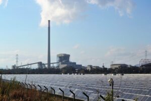 Verdemar critica la "avalancha" de proyectos fotovoltaicos y eólicos en el Campo de Gibraltar