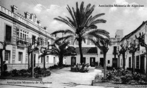 Arbolado urbano en Algeciras (I)