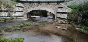 Verdemar apuesta por renaturalizar tramos del río de La Miel