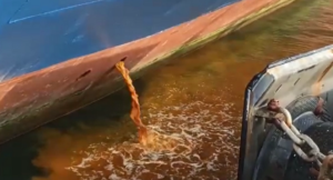 Adelante Algeciras pide explicaciones a Capitanía Marítima sobre el vertido de un ferry en el puerto