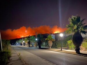 Detenido en Torreguadiaro el presunto autor del incendio forestal de La Línea