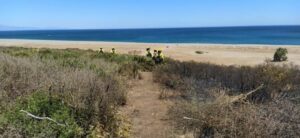 Controlado el incendio en Santa Margarita tras arder 144 hectáreas de terreno