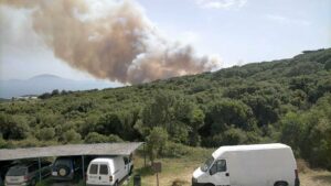 El incendio de la carretera N-340 afecta ya a unas 200 hectáreas del Parque Natural del Estrecho