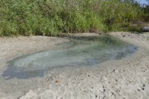 Ecologistas denuncian vertidos contaminantes en la Bahía de Algeciras