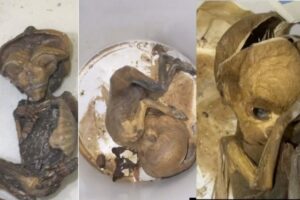 Adelante Andalucía pide responsabilidades políticas por los fetos encontrados en el antiguo hospital de La Línea