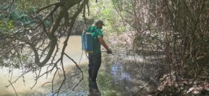 Fumigación contra los mosquitos en el Río Pícaro para el control de Vectorial de la Fiebre del Nilo