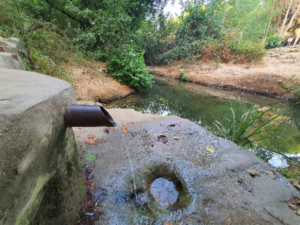 Piden a la fiscalía que actúe de oficio ante las captaciones ilegales en el Parque Natural de Los Alcornocales