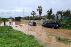 Preocupación por el Plan de Evacuación de la  Perrera de Los Barrios