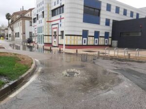 La foto de hoy: "Un hedor insoportable"