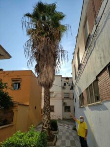 La Asociación de Vecinos Manuel de Falla  lamenta "el trato discriminatorio de parques y jardines"