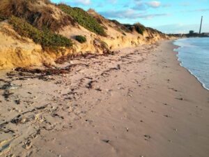 Salvemos Rinconcillo urge soluciones que permitan salvar la playa