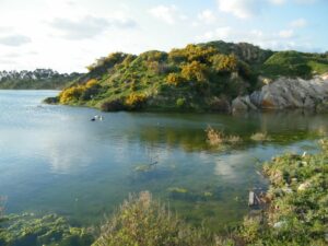 Instan a la Junta a que incluya la laguna de la Huerta de las Pilas en el Inventario de Humedales de Andalucía