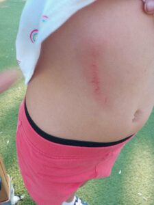 Denuncian el mal estado del  parqué infantil del saladillo King Kong