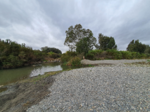 Campo de Gibraltar: Colapso hídrico