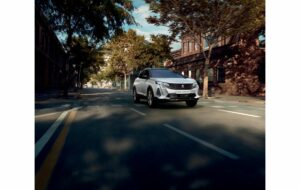 Peugeot celebra el Peugeot 3008 Un Millón