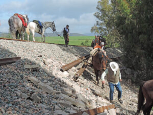 Amenazan con protestas en la vía del tren  de Jimena