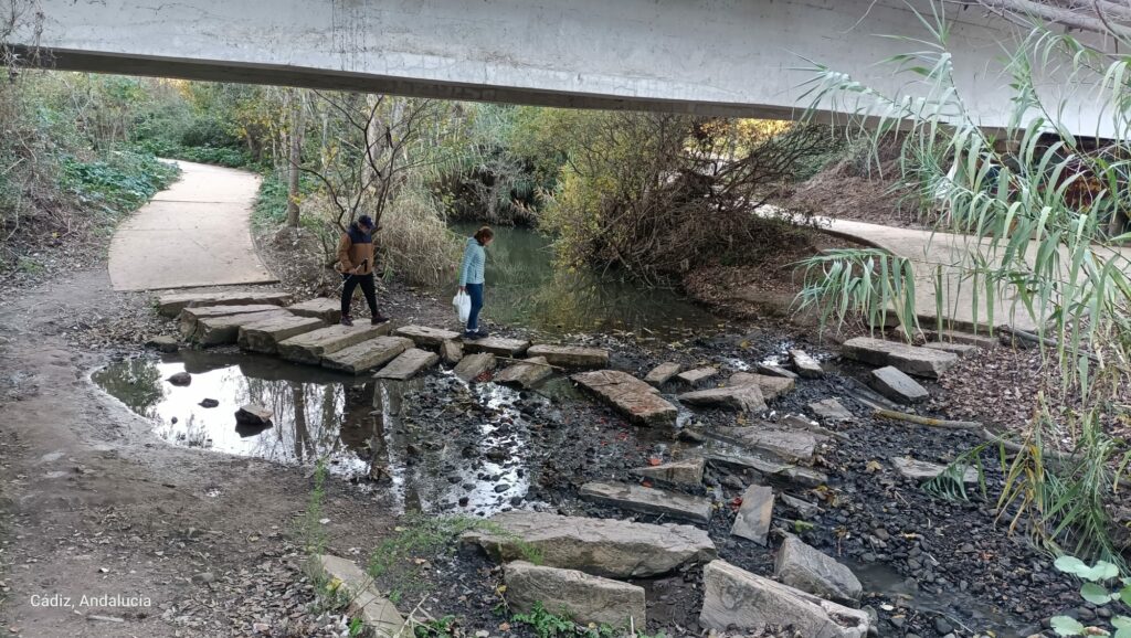 Denuncian la muerte de cientos de peces en el río Pícaro,  P N del Estrecho (Algeciras)