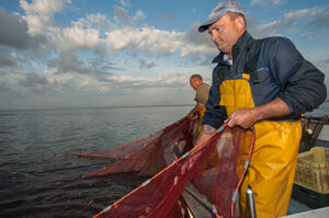 El Ayuntamiento agradece a la Junta la concesión de ayudas al sector pesquero para paliar los daños causados por el alga invasora y la Covid-19