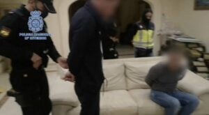 Desarticulada una importante red de plantaciones de marihuana