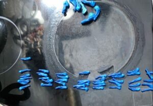 Desmantelan en la Piñera el mayor punto de venta al por menor de cocaína