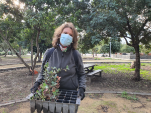 Verdemar empieza y termina el 2021 con la campaña "Un Andaluz un Árbol"