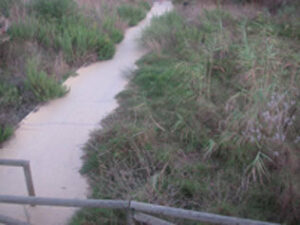 La Junta subvenciona el proyecto municipal para mejorar el sendero del río Pícaro.