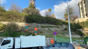 Parques y Jardines actúa sobre el talud del Paseo de la Conferencia