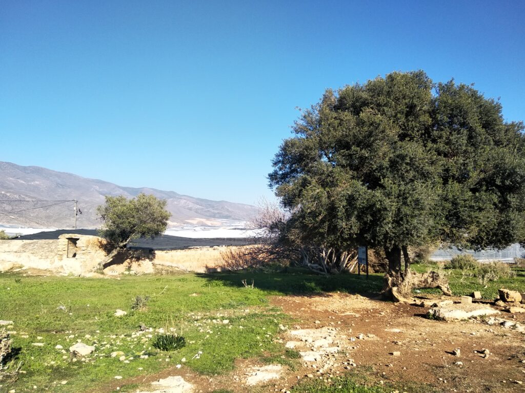 Paz y educación ambiental. Por Moisés Palmero.