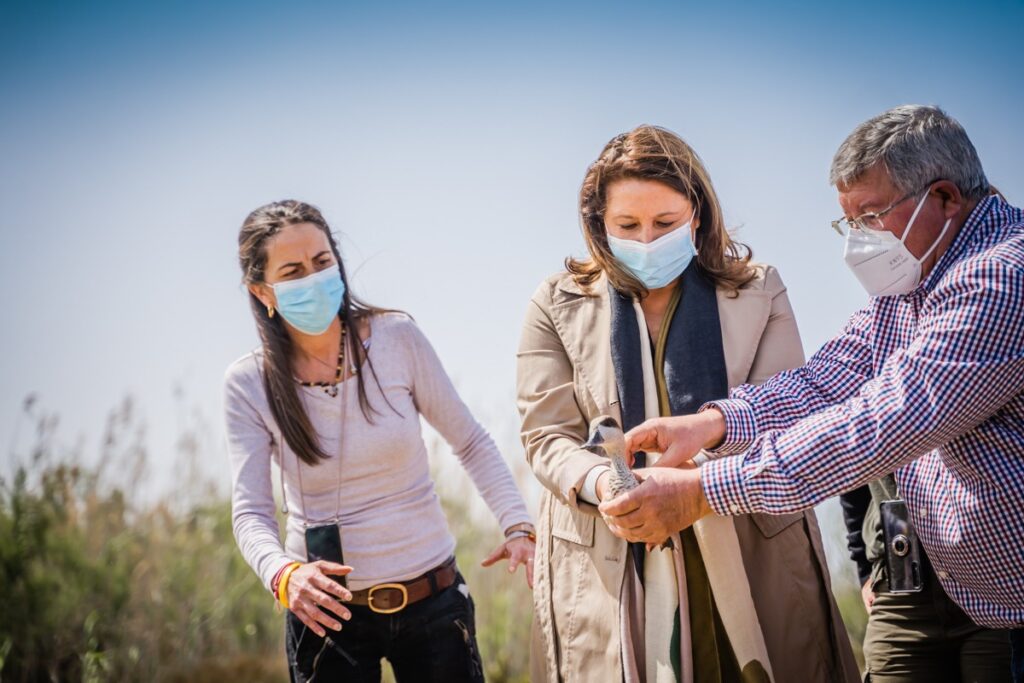 La Junta propone la inclusión de Huerta de Pilas, en Algeciras, en el Inventario de Humedales de Andalucía.