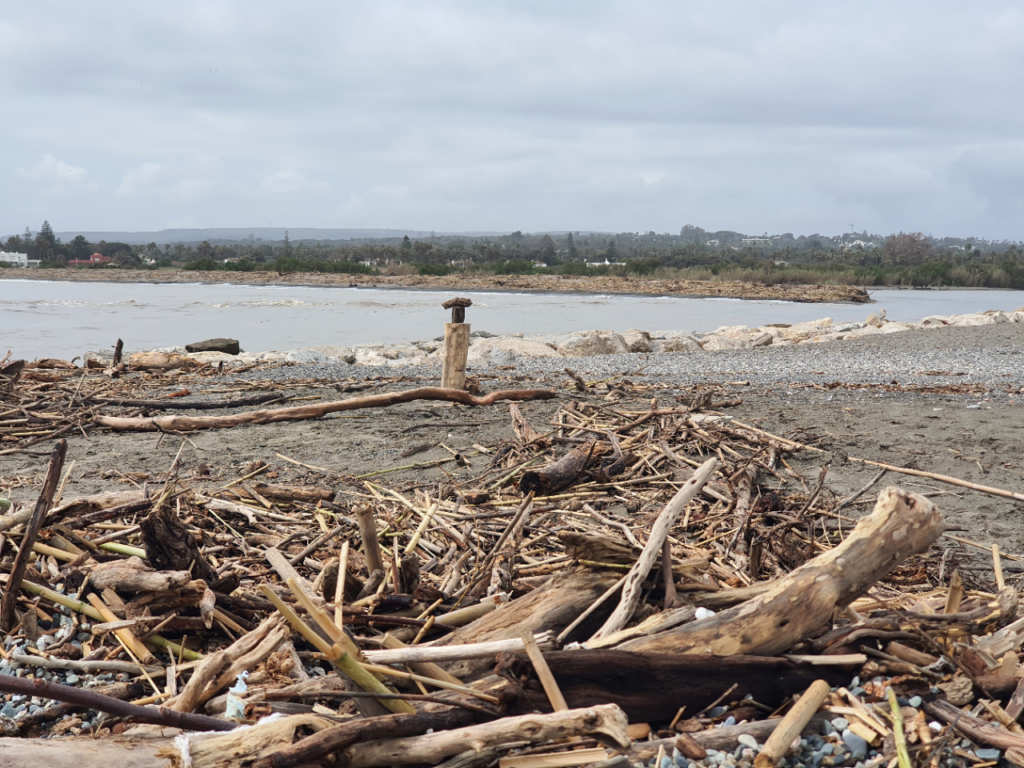 La desembocadura del río del Guadiaro abandonada
