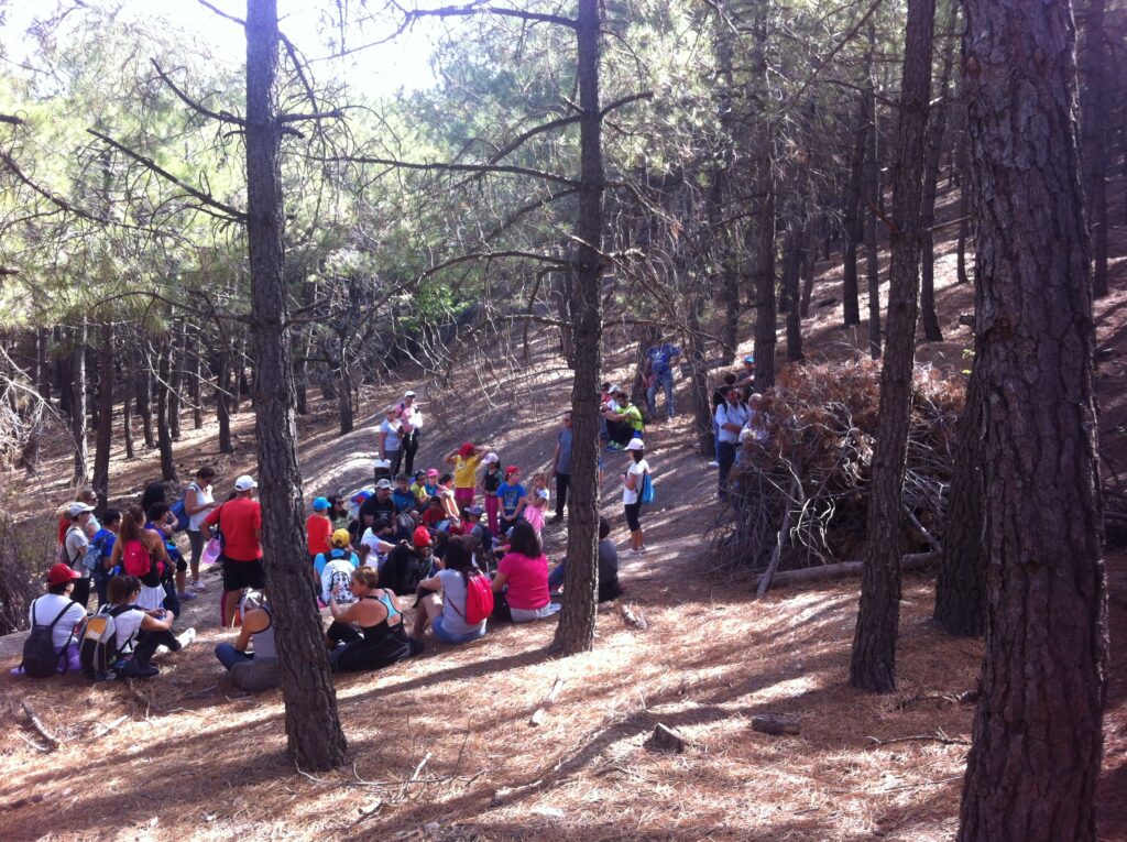 Cuenta cuentos. Por Moisés S. Palmero