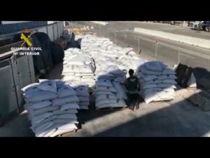 Aprehendidos 1.461 kilogramos de cocaína oculta entre las escama