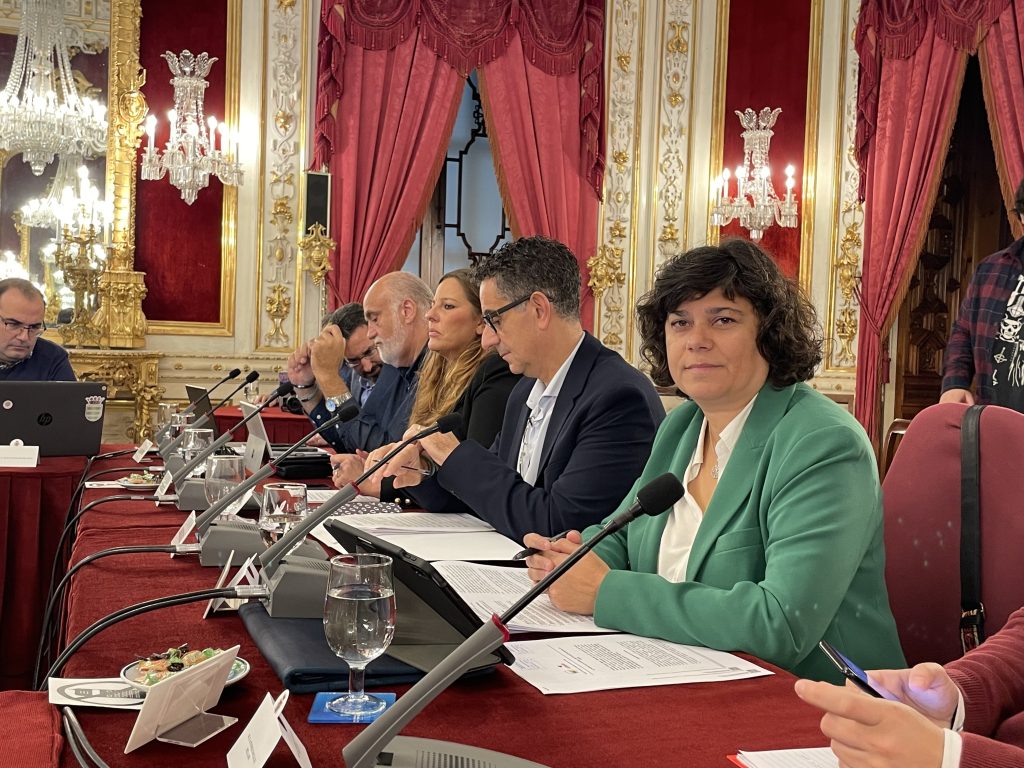 Carmen Álvarez, diputada de IU, durante el Pleno de la pasada semana.