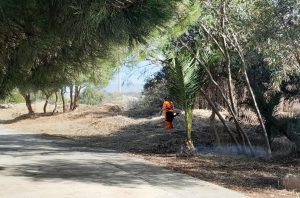 Imagen de las actuaciones. Parque de Torrejón.