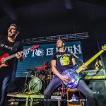 Animal Fest. Tomoyuki Hotta