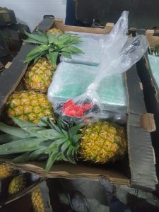 Operación Berxwedan